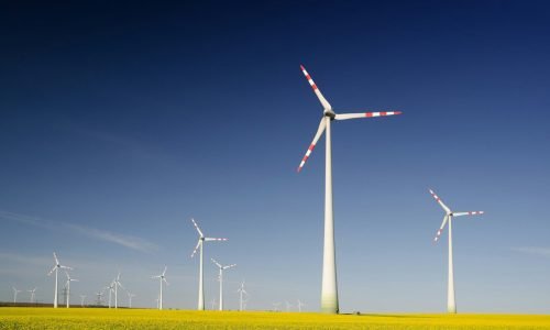 windmills on grass field at daytime